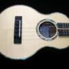 CC- Spruce top with 3mm abalone rosette