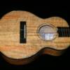 TC- Tenor Full Custom with mango wood