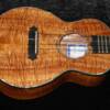 Beautiful Hawaiian Full Curly Koa top, back, and sides